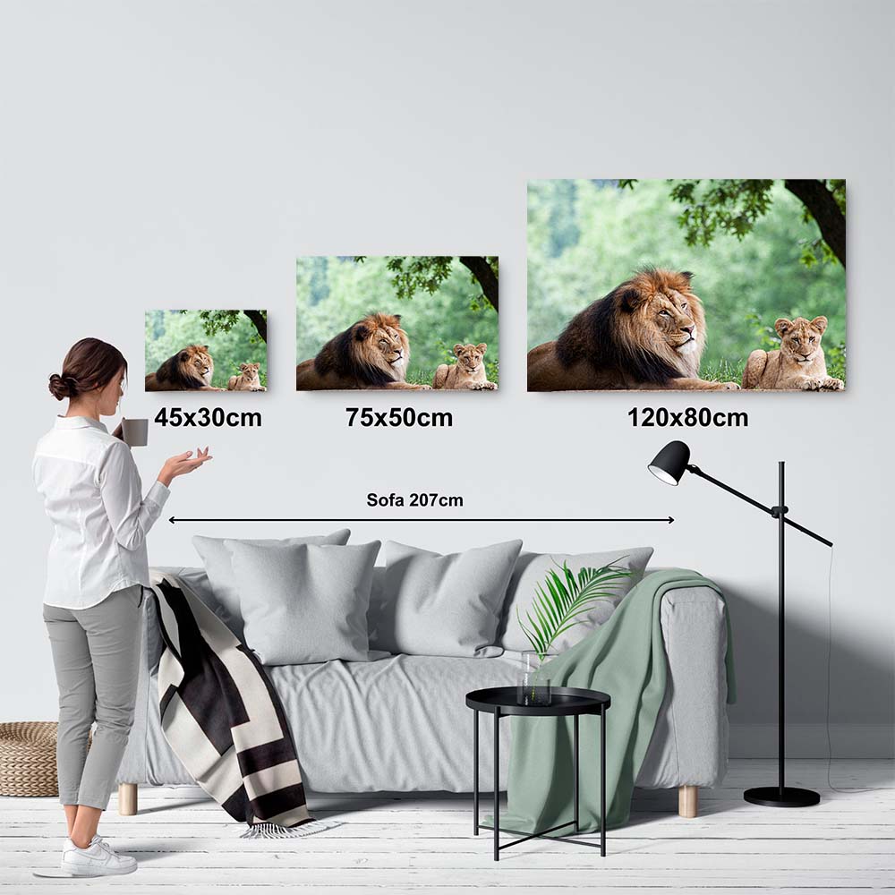 León y cachorro