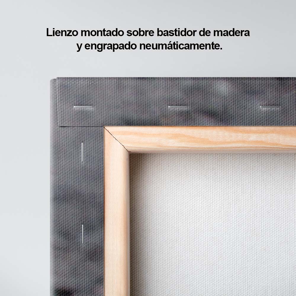 El poder del tigre