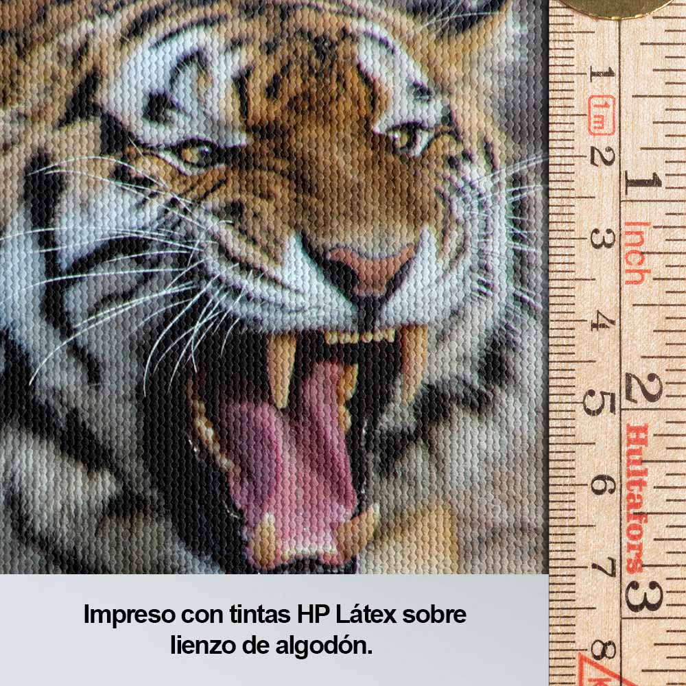 El poder del tigre