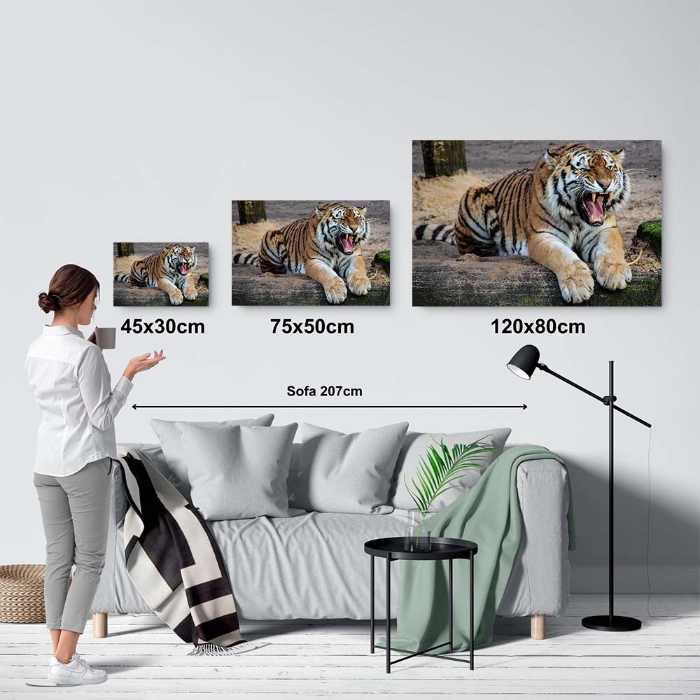 El poder del tigre