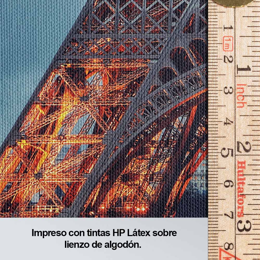 Torre Eiffel - Paris N 4