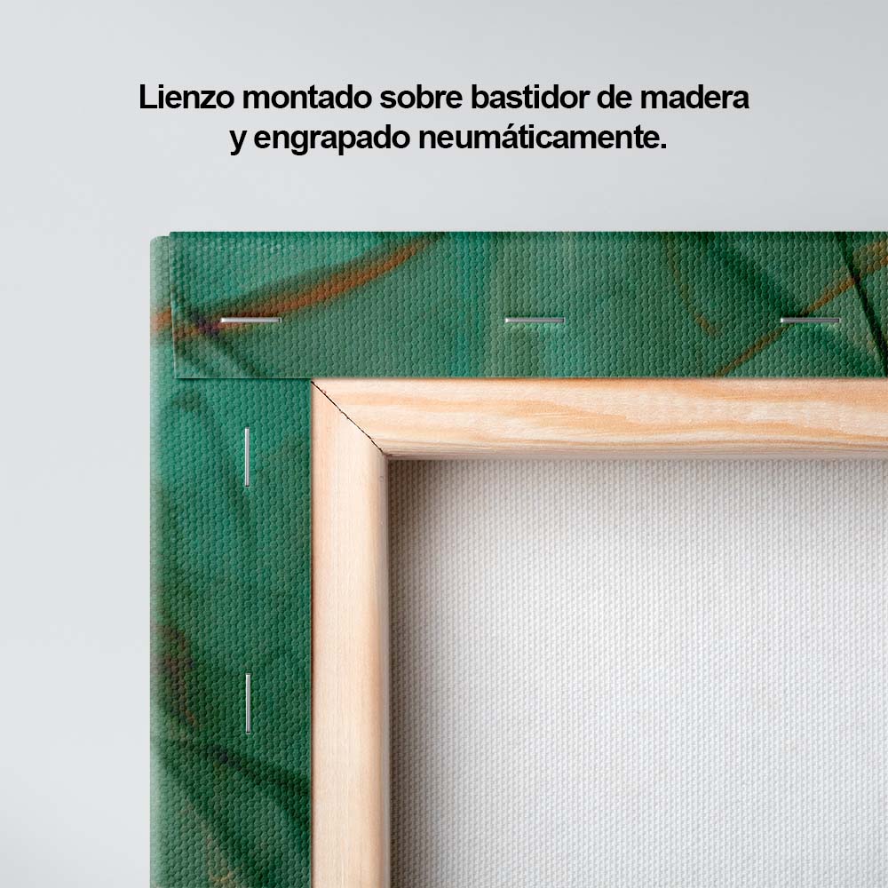Latidos del universo