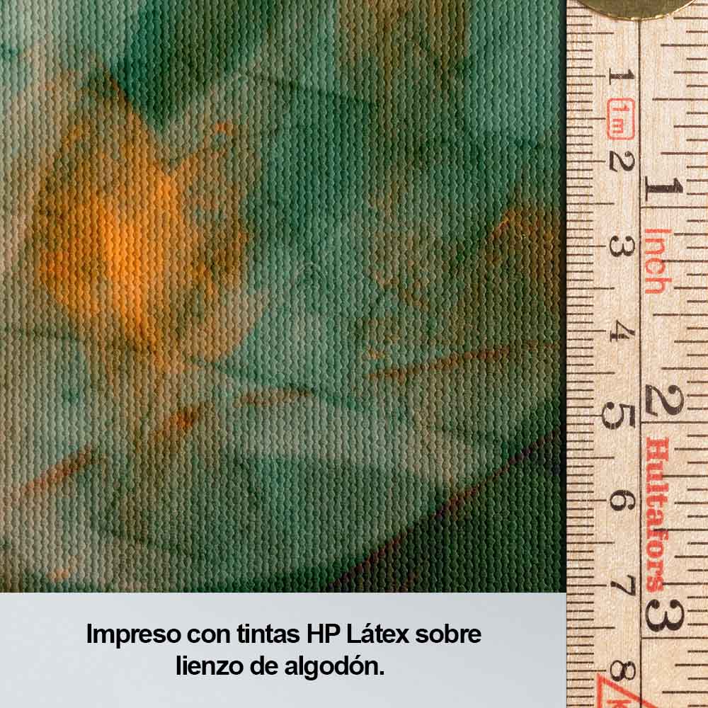 Latidos del universo