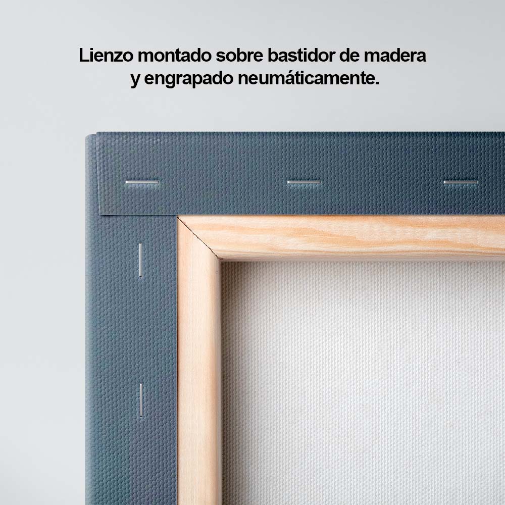 La gitana dormida