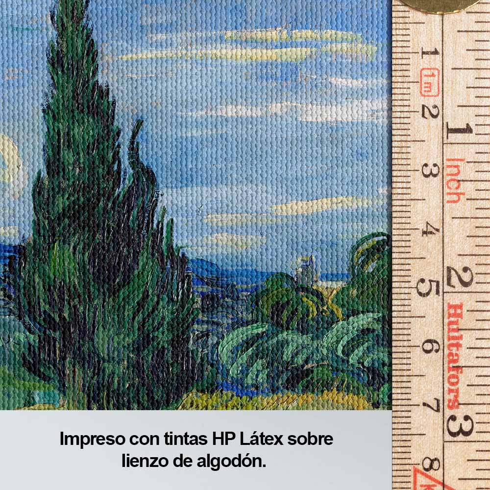 Campo de trigo verde con ciprés