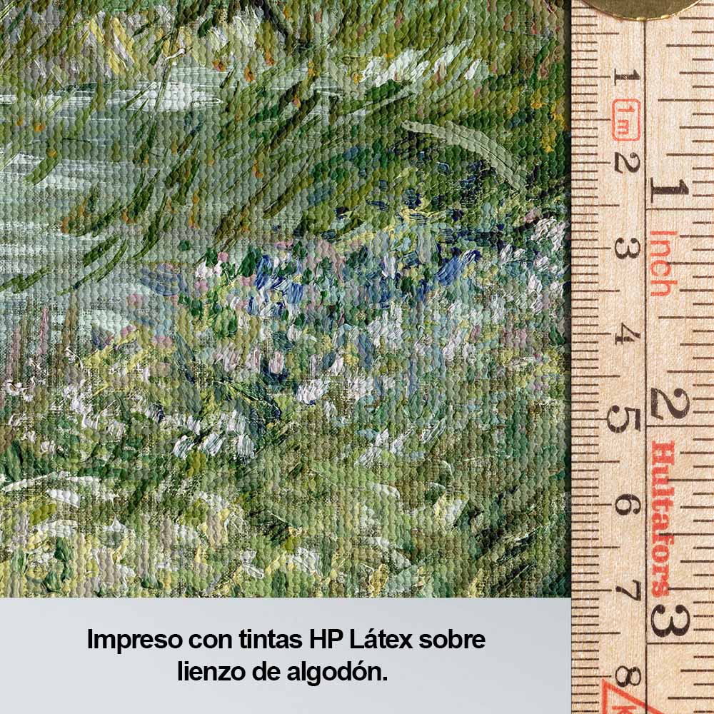 Orilla del río en primavera
