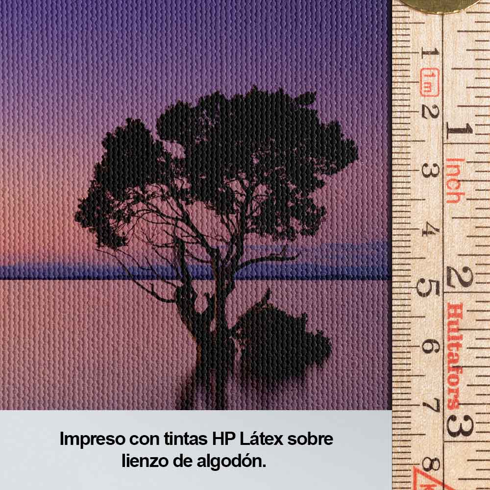 Laguna Solitaria