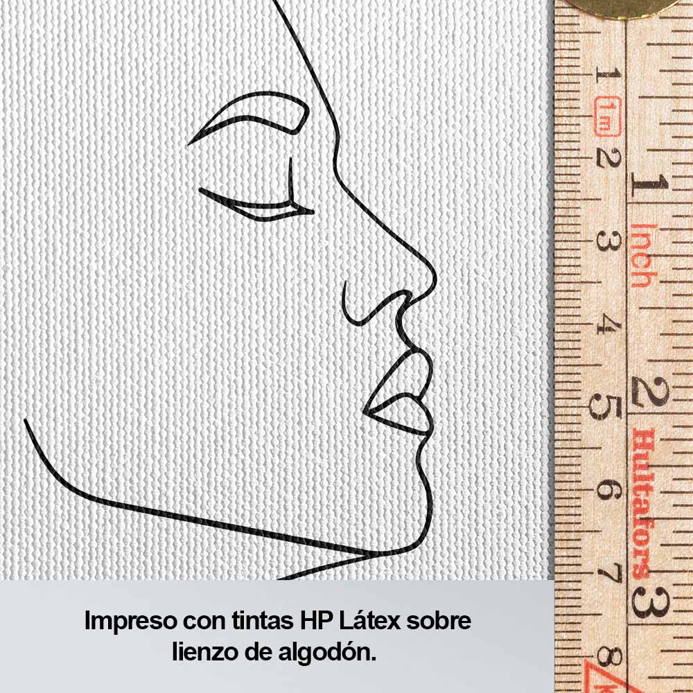Cuadro Decorativo - Líneas y sombras