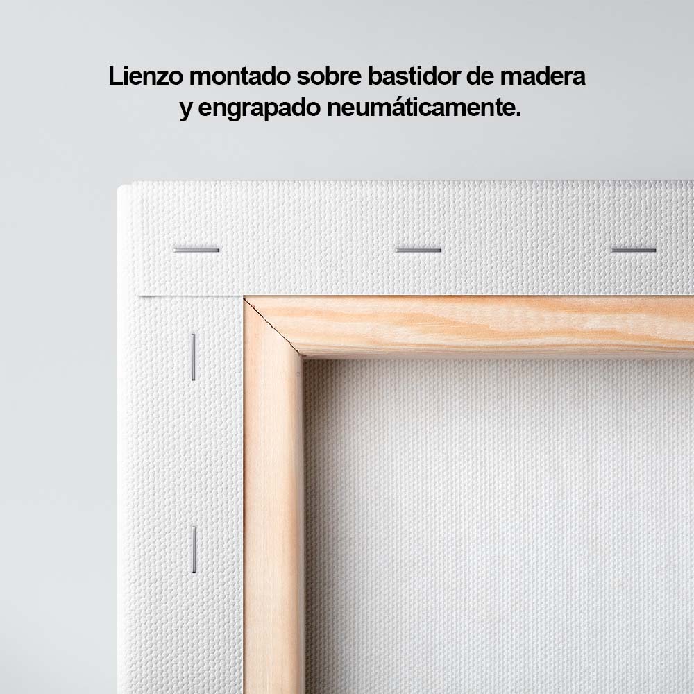 Cuadro Decorativo - Arte de la línea delgada