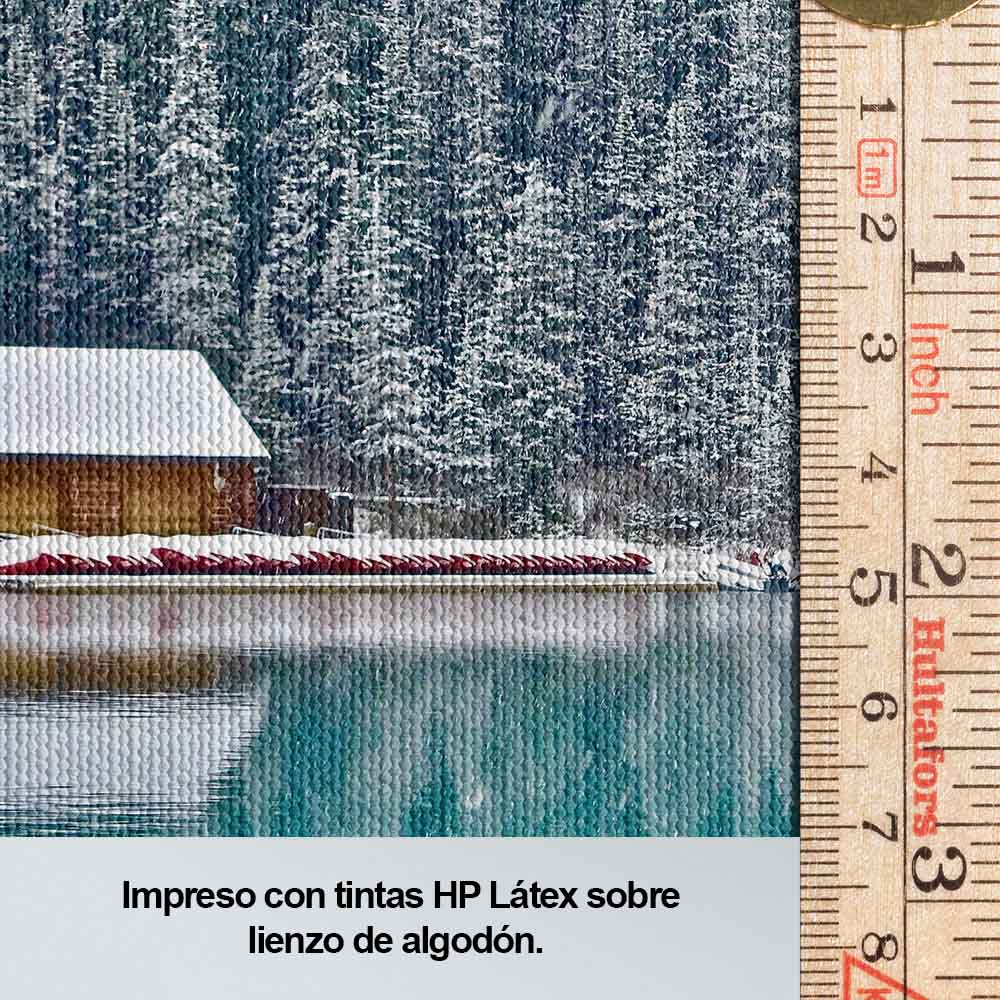 Lago y nieve