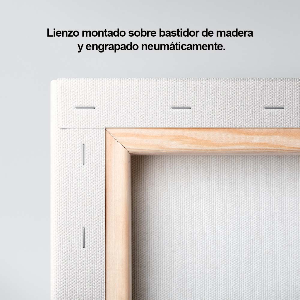 Cuadro Decorativo - Reflejos de Luz III