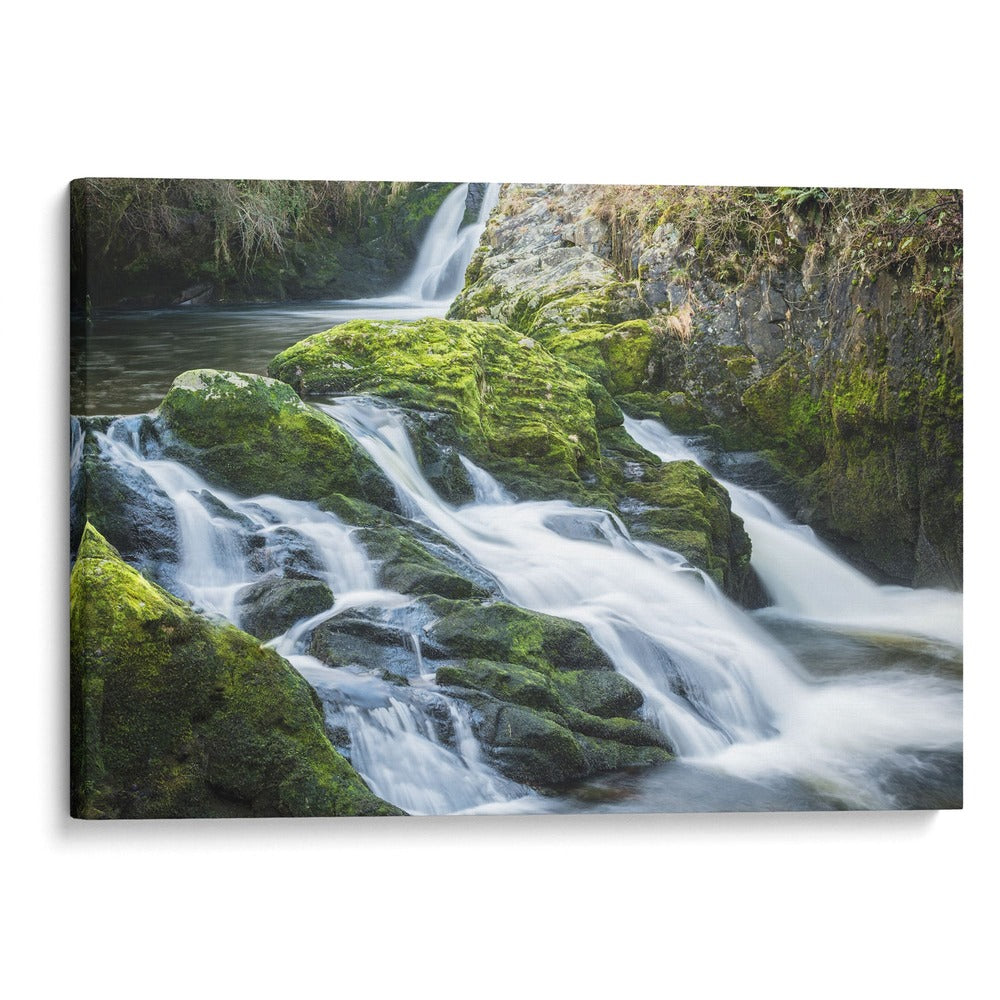 El caudal del río