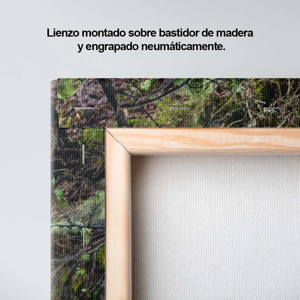 El caudal del río