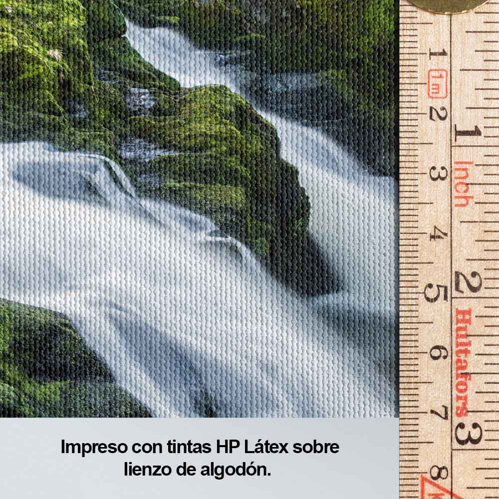 El caudal del río