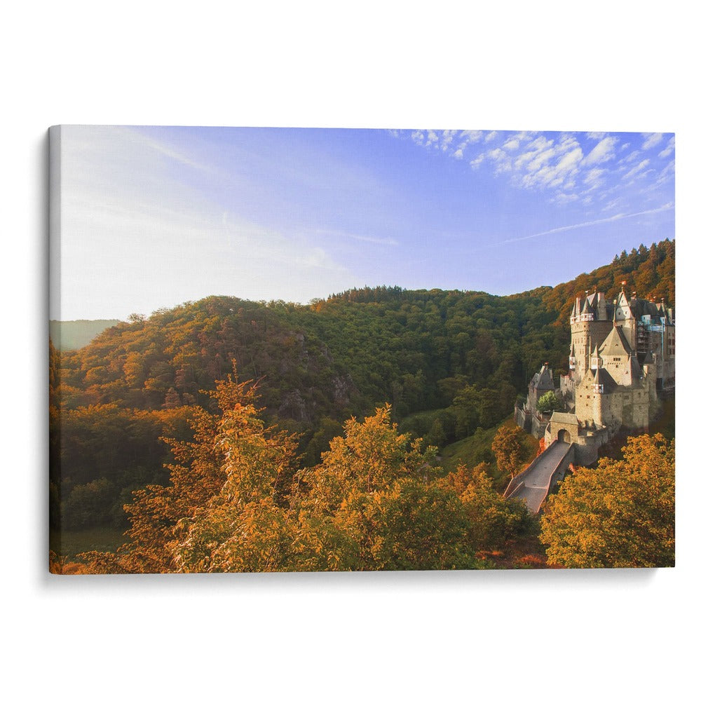 El castillo en el bosque