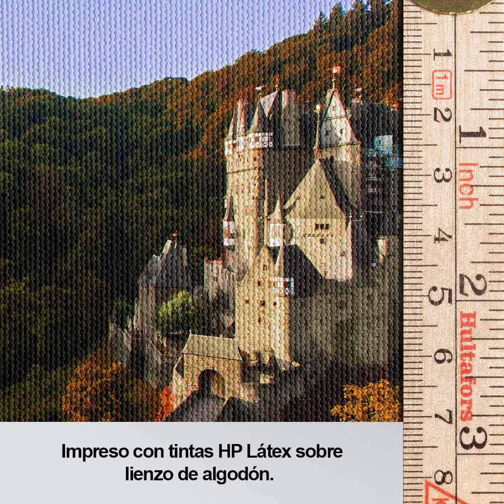 El castillo en el bosque